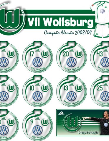 Wolfsburg ALE – 2008/09